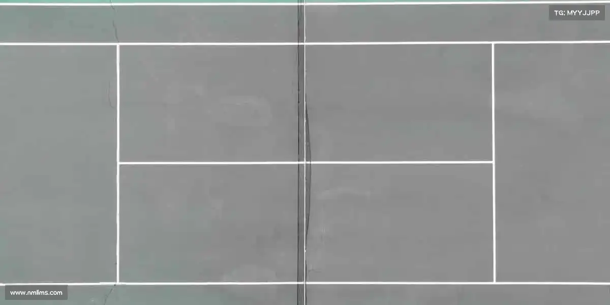 im电竞🎿从陆地到冰雪，从平凡到闪耀 —— 体育的魅力，在于不断突破边界！